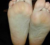 camel toes bar sexy mexicans feet